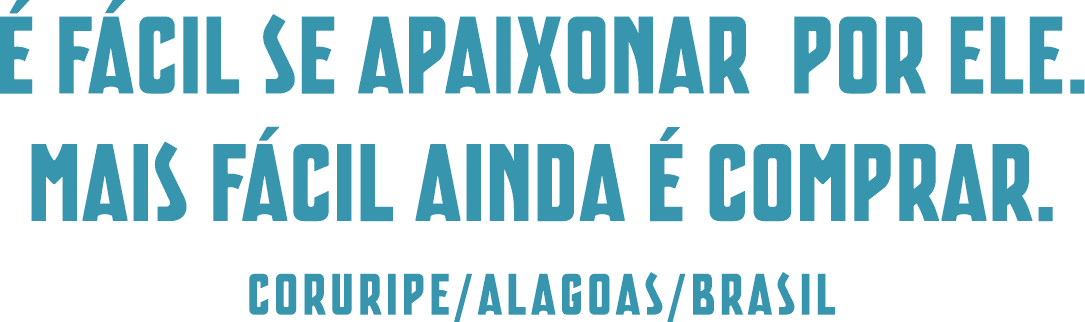 &Eacute; f&aacute;cil se apaixonar por ele. Mais f&aacute;cil ainda &eacute; comprar. Coruripe, Alagoas, Brasil